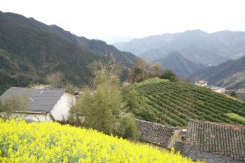 蜈蚣岭 - 黄山风景区游记攻略【携程攻略】