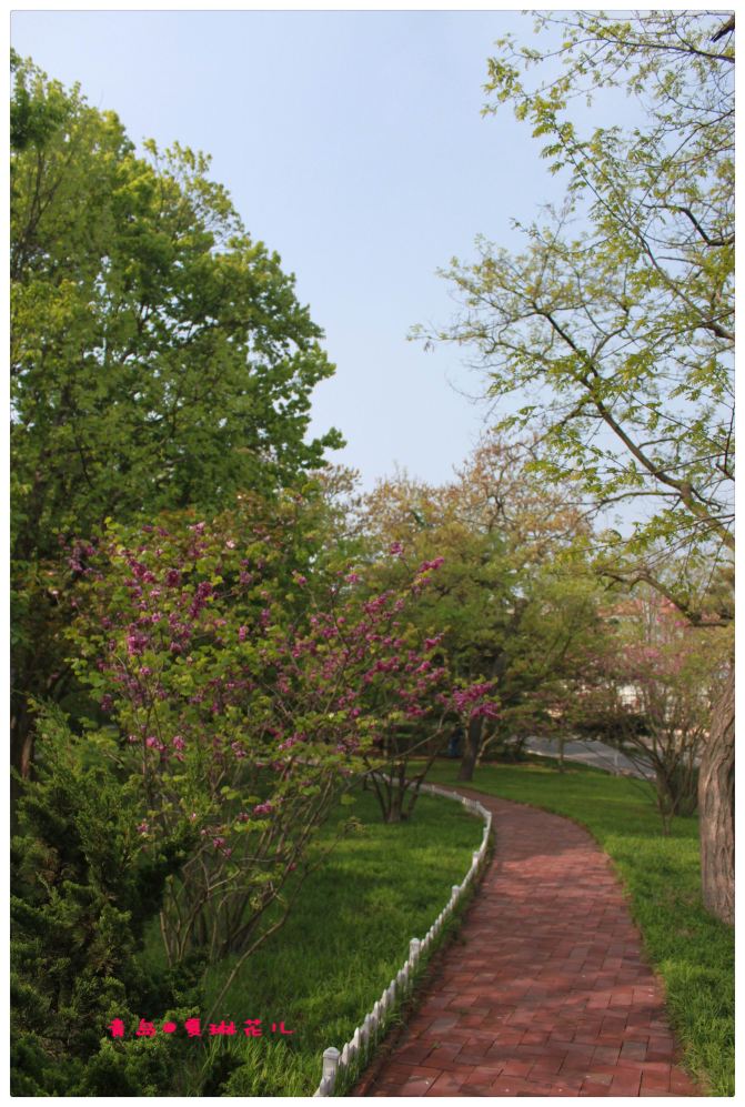 面朝大海就会春暖花开 - 青岛游记攻略