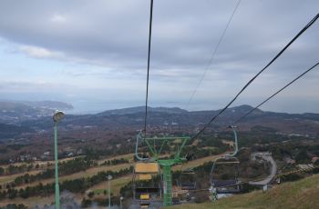 静冈市大室山附近景点,大室山周边景点攻略\/指