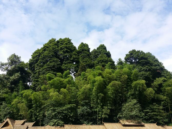 三亚蜀南竹海一日游-宜宾美女攻略【携程攻略宜宾游记v美女攻略图片