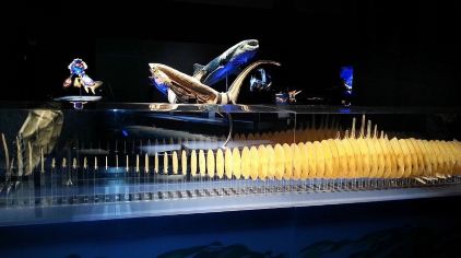 生命奥秘科普系列巡展团购-原价150元-团购仅