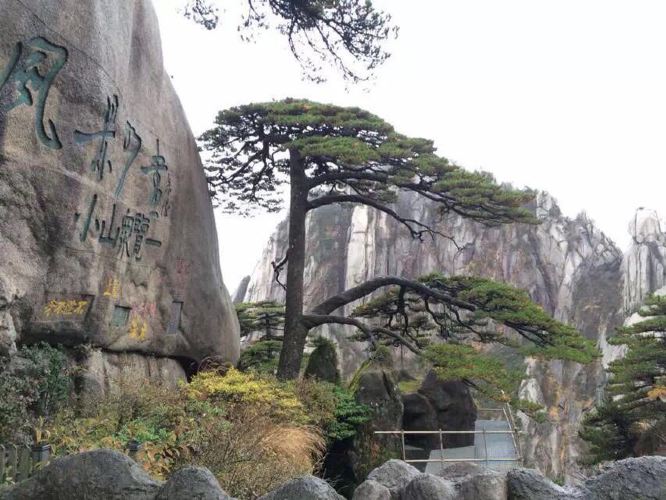 黄山一日游旅游线路 - 黄山市游记攻略