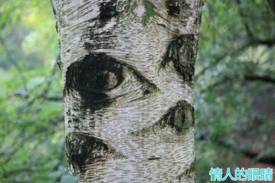 背上行囊寻北去--江南四<em>才女穿越</em>森林草原 - 漠