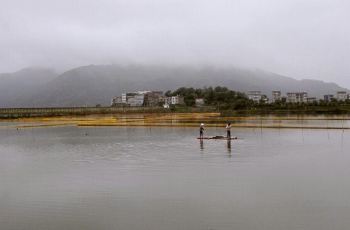 【携程攻略】乐清西门岛交通路线,怎么去西门岛,西门岛在哪里/怎么