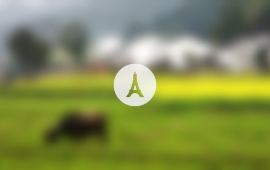 阿勒泰冲呼尔乡天气预报,历史气温,旅游指数,冲