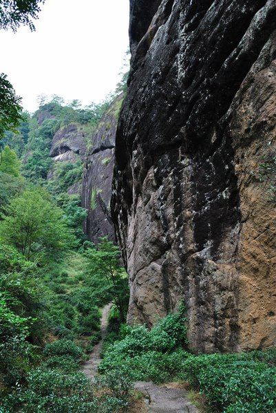 游武夷 虎啸岩 隐屏峰 玉华峰 天游峰 大红袍
