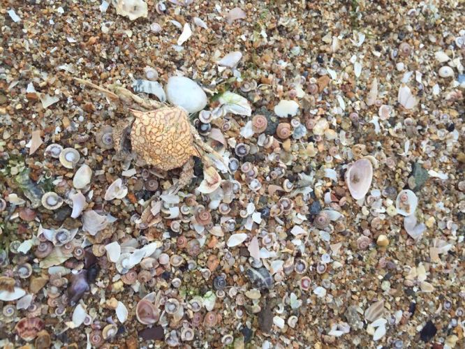 哆妈亲子游北戴河超详细攻略(两大两小) - 北戴