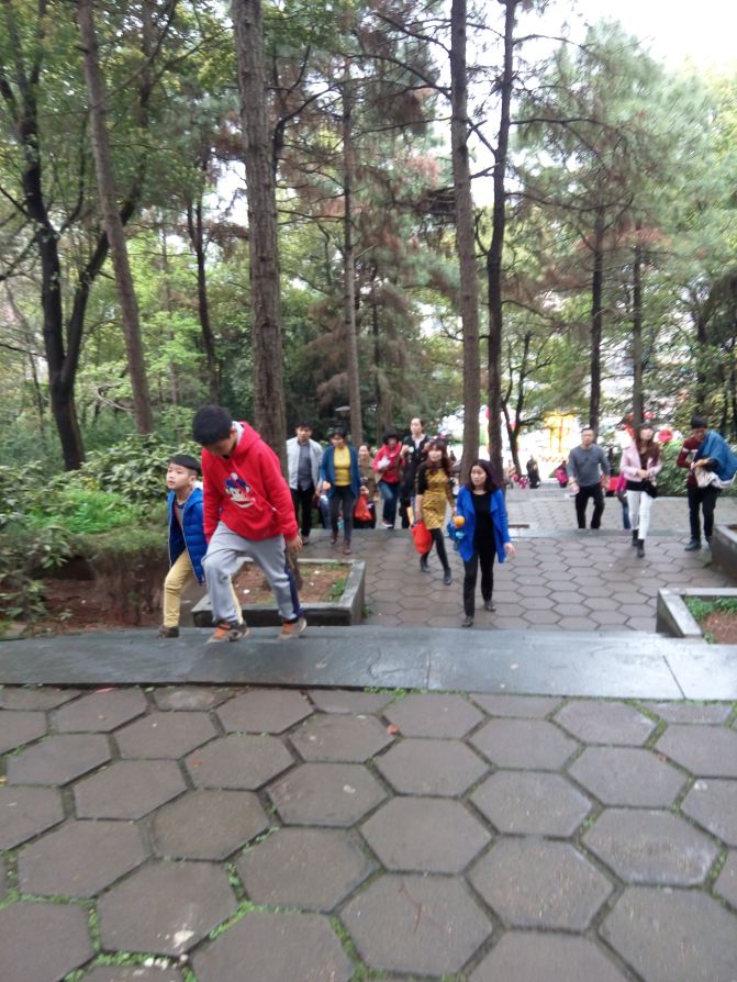 长沙一日游观媲美武大的樱花 - 长沙游记攻略