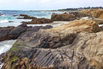 旧金山-洛杉矶一号公路两日游 - 蒙特雷游记攻略