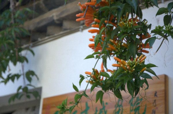 十月,我们逃课去云南。各类实用机票住宿贴士