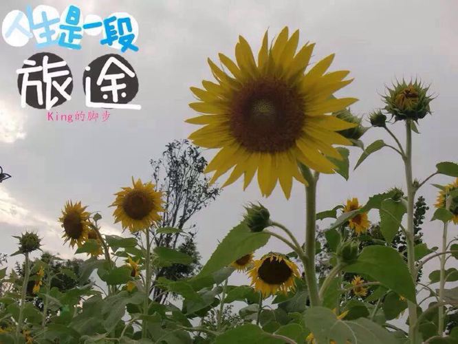 惠州博罗、东莞清溪游玩~King成长脚步 - 东莞