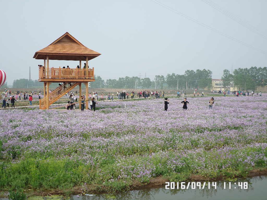 月牙岛,一个生态的新兴的旅游去处