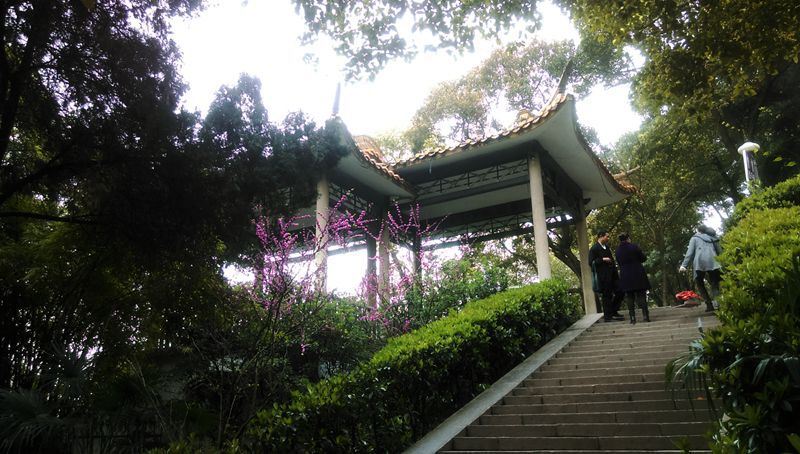 衡阳游——迥雁峰