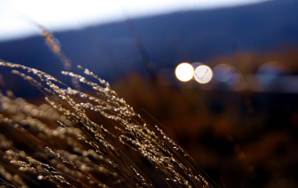 我想找大风车里的一首歌_音乐_奇飞知识网