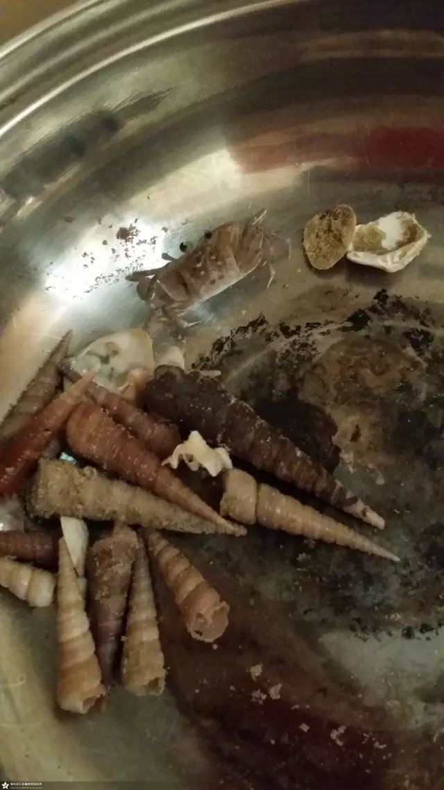 海陵岛旅游攻略,来海陵岛旅游不一样-纽约游阳江美国woodbury攻略购物图片