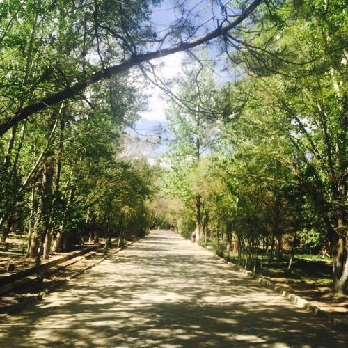 一路向西-拉萨 银川 西宁 (未完) - 拉萨游记攻略