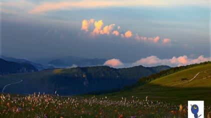 周边精选酒店1晚+沁水历山国家森林公园门票