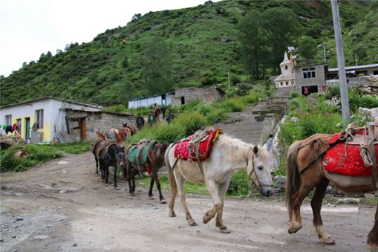 有20公里的毛路路况不理想,建议从这条线进出的游客最好是越野