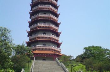 ˮ羰ʤ