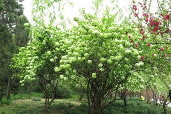 扬州廋西湖游玩 - 扬州游记攻略【携程攻略】