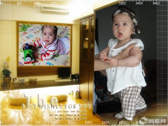 #随手拍#家有小卷毛 - 上海游记攻略【携程攻略