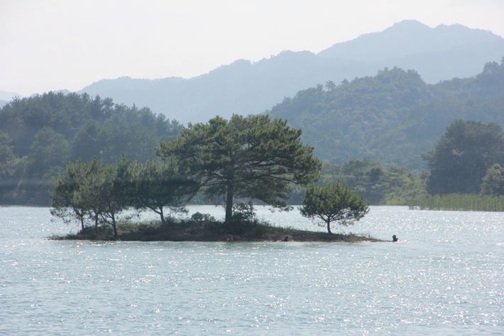 张秘籍带你吃喝玩乐【自驾千岛湖,实用攻略】大理古城的住宿小姐图片