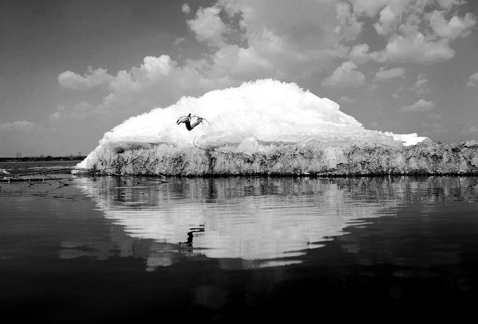 万足念什么_万足上下结构念什么_万足念啥 - 图