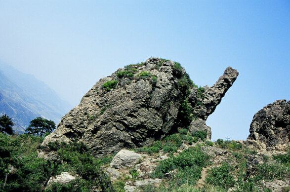 ɽǸ֮