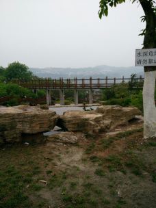【携程攻略】万州太白岩公园图片,万州太白岩公园风景
