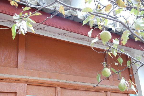 十月,我们逃课去云南。各类实用机票住宿贴士