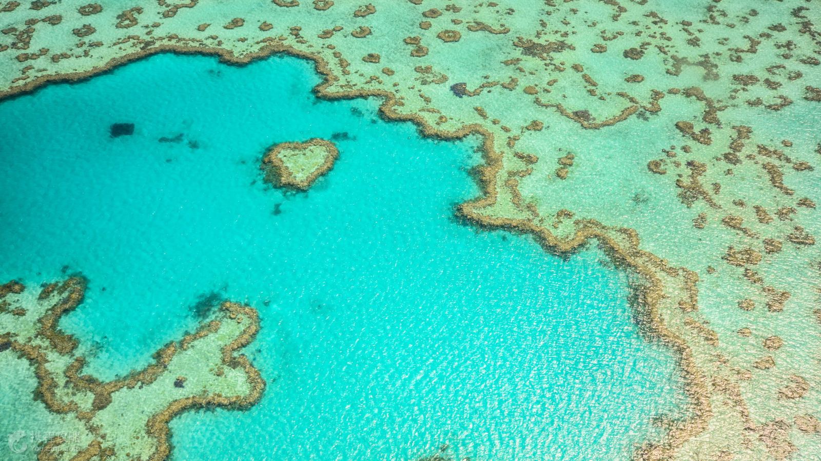 澳大利亚4日半自助游·心形大堡礁+外堡礁浮潜+白图片