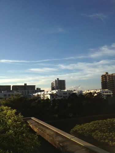 日本东京 大阪 富士山 6日游记 - 上海游记攻略