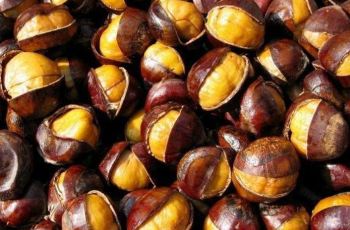 【携程攻略】神农架野生板栗电话\/地址\/菜系\/点