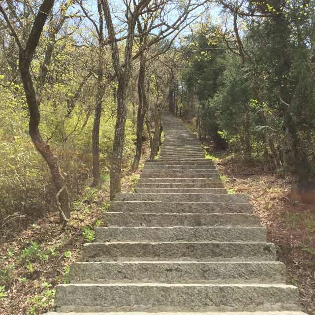 这是从五峰通往三叠泉的小路,一路向下,台阶非常多!要小心哦!
