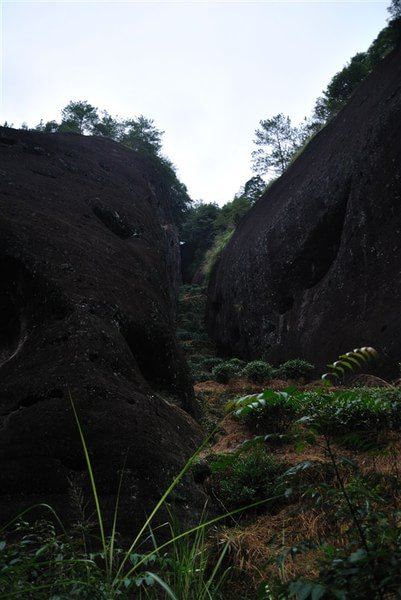 游武夷 虎啸岩 隐屏峰 玉华峰 天游峰 大红袍