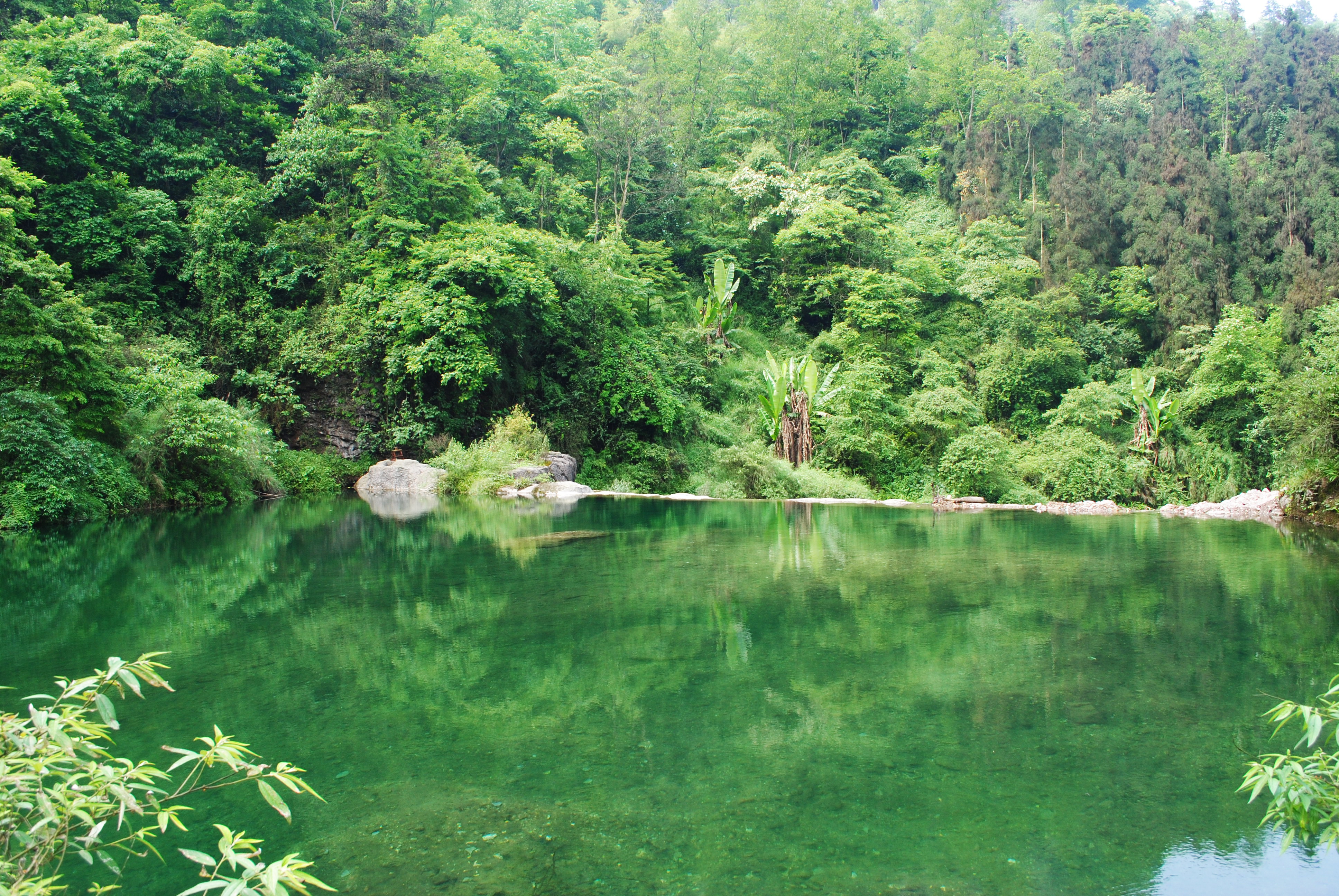 峨眉山生态猴区导游词