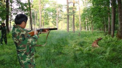 露水河狩猎场图片