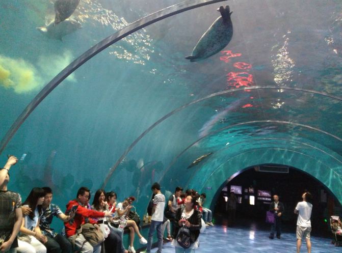 #随手拍#大美好玩青岛极地海洋世界游玩全攻略亲近海洋动物涨知识又开心又看表演只为帮到外地的您 - 青岛游记攻略【携程攻略】