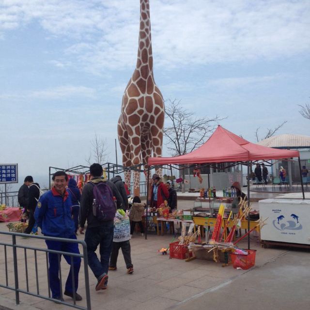 威海西霞口神雕山动物园一日游