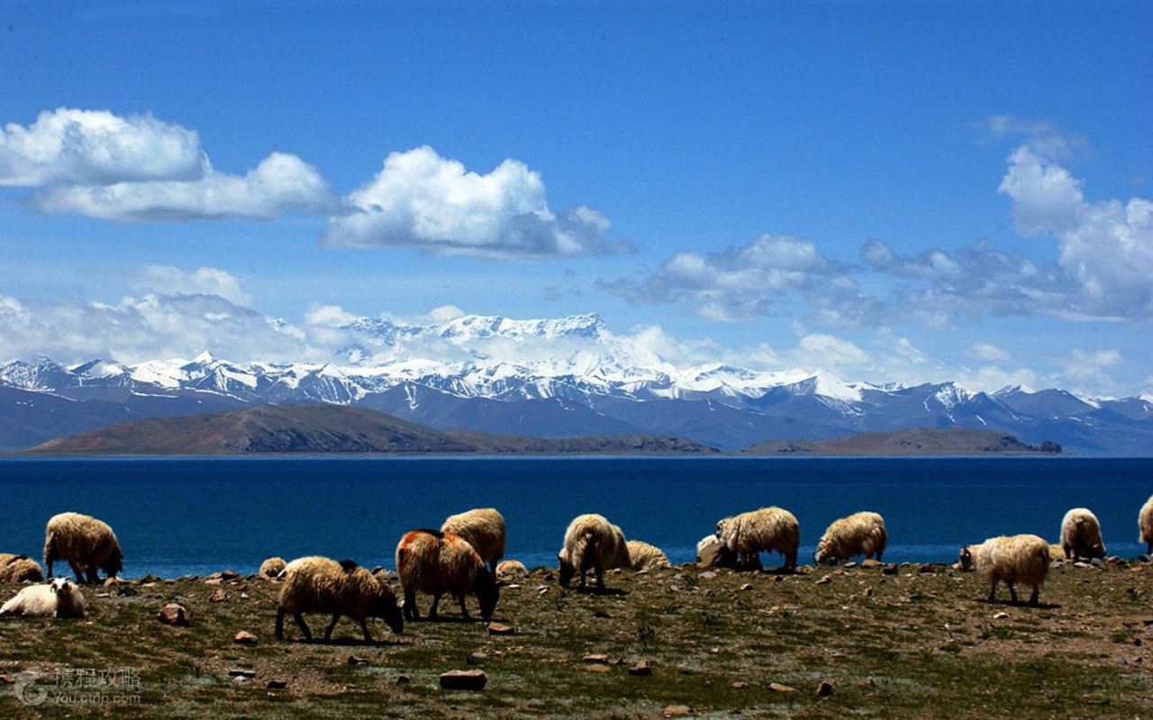西宁+青海湖+拉萨+纳木措6日5晚跟团游·舒适