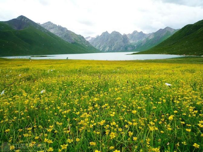 暑假毕业旅行去去四川哪里看花 夏天四川最美