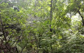 涞水蚂蚁岭天气预报,历史气温,旅游指数,蚂蚁岭