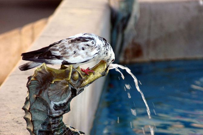 法国风(六) Cannes 戛纳 游记#加游站# - 戛纳游