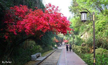 一个本地人写的2015年厦门必备春游v传说最新传说艾伦大陆的攻略图片