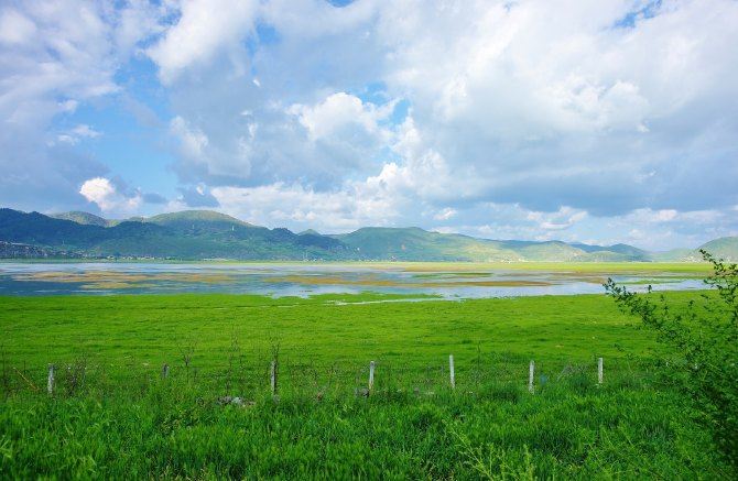 【纳帕海依拉草原】