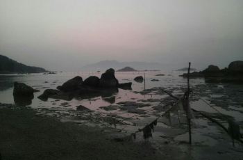 海山石龟,饶平海山石龟攻略/地址/图片/门票【携程攻略】