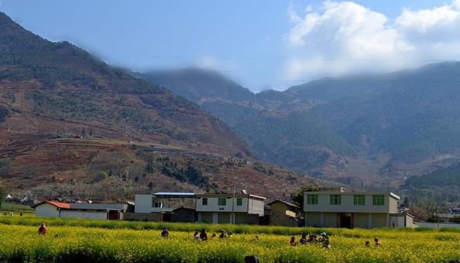 春季出发米易县普威镇油菜花观赏自由行实用图文攻略