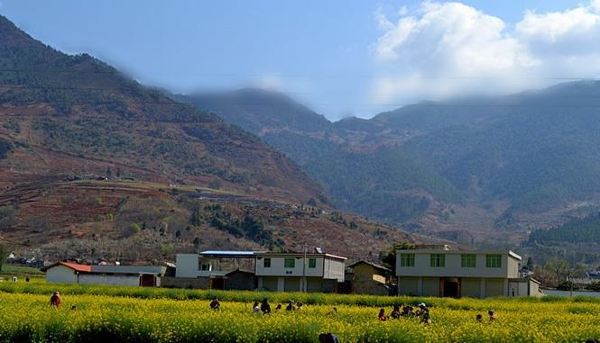 春季出发米易县普威镇油菜花观赏自由行实用图文攻略