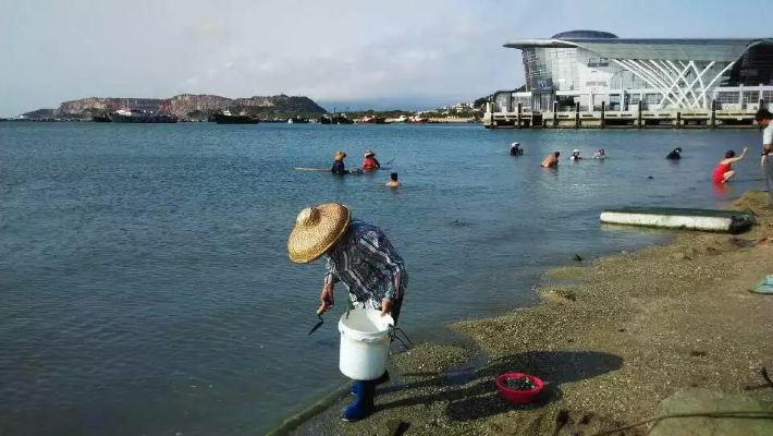 珠海桂山岛一日游 - 珠海游记攻略