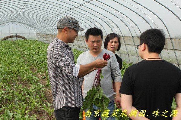 南京蔬菜采摘园 体验采摘味之源药膳养生种植园